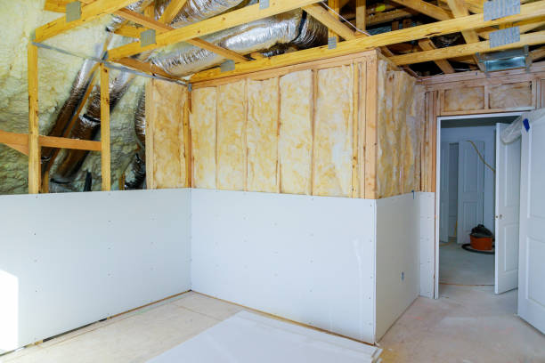 Best Insulation for New Construction  in Wayne City, IL